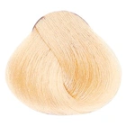 Alfaparf Evolution of the Color CUBE hajfesték - 10.342 60ml Lightest Blonde Golden Copper Violet főképe
